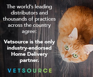 BannerAd_AmericanVet1